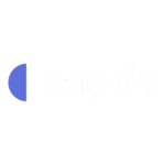 Paybiz logotyp, med en blå partiell cirkel bredvid ordet "Paybiz" med vita gemener på en svart bakgrund.